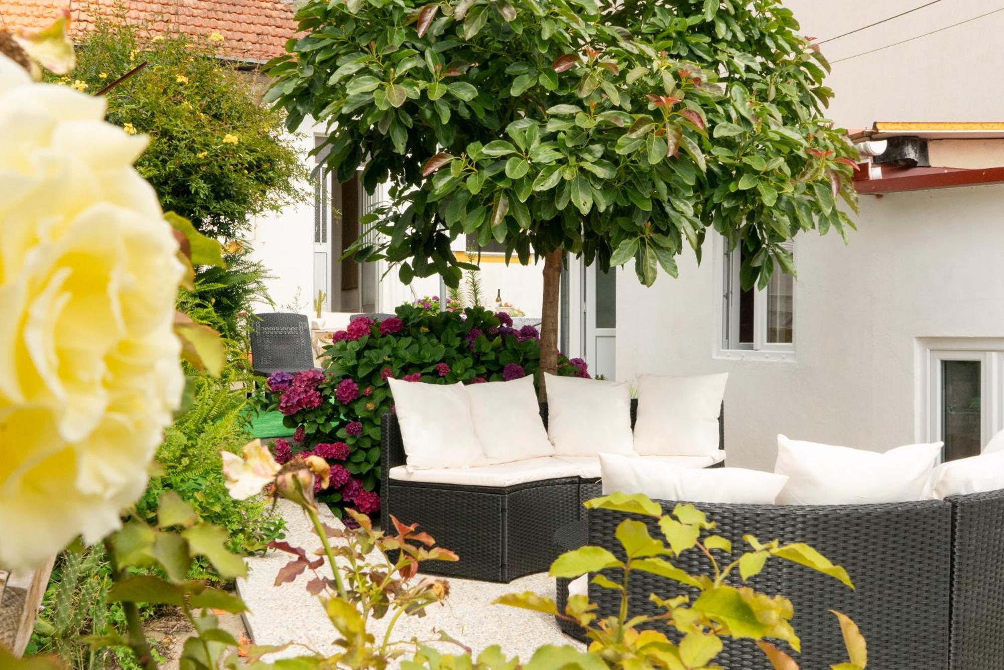 Bed and breakfast Growth House